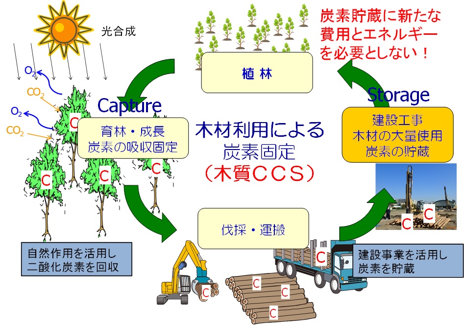 木材利用による木質CCS