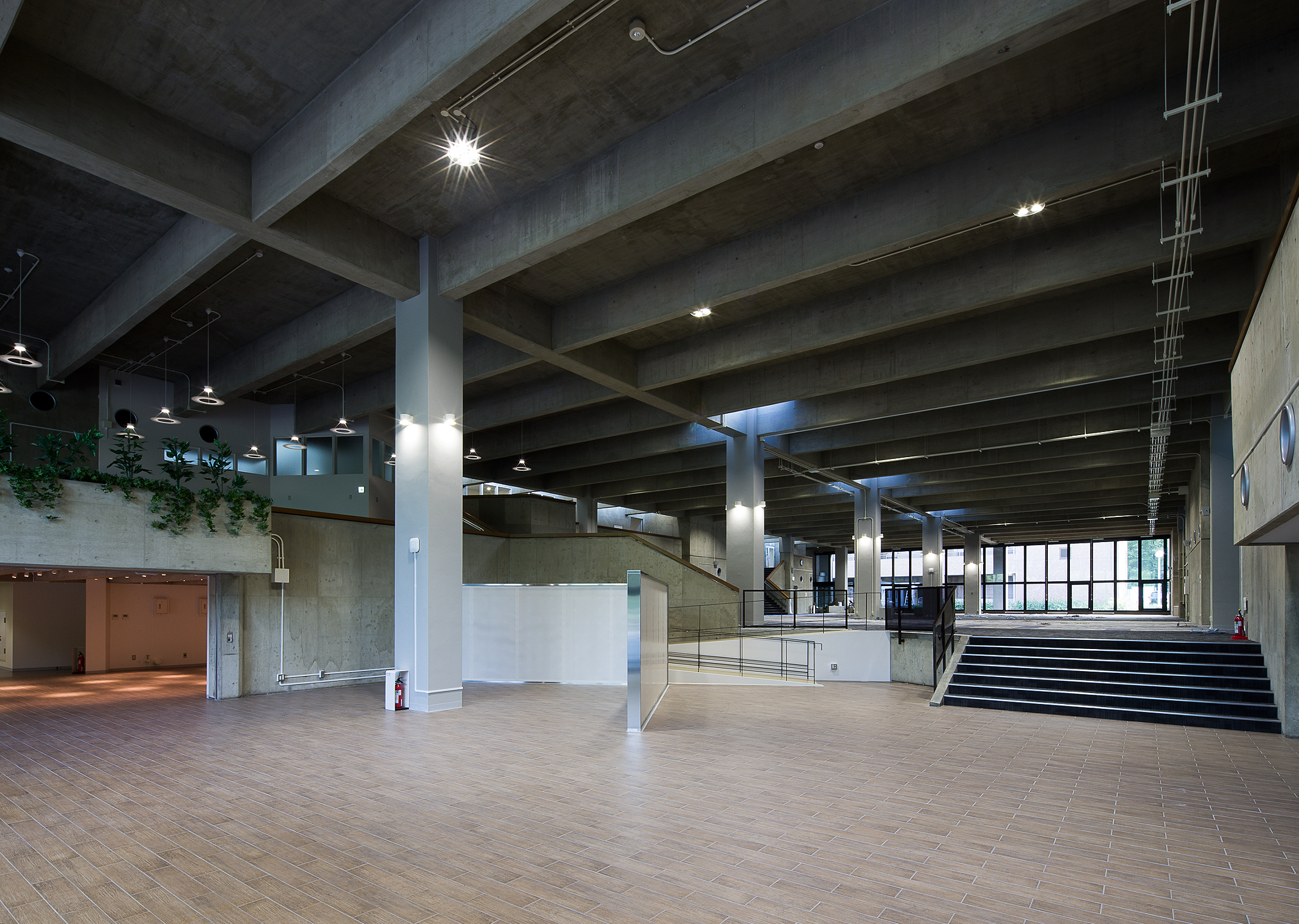 東北大学　川内キャンパス(宮城県)附属図書館1号館（改修）