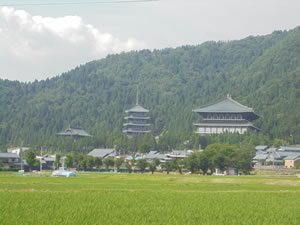 越前大仏清大寺の写真