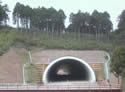 第二東名 桃園トンネル（静岡県）