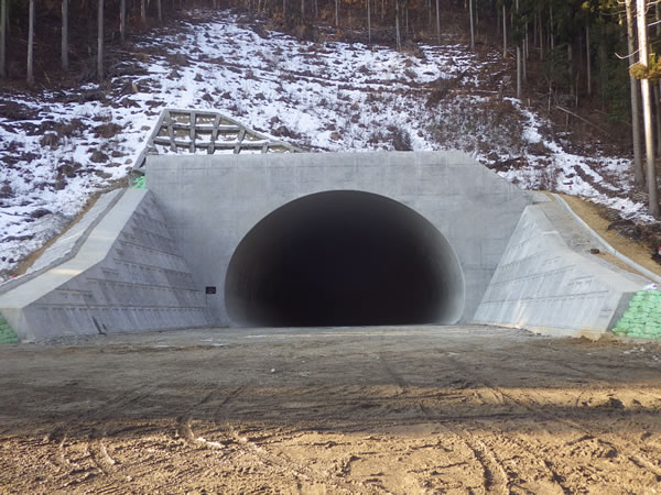 山口第2トンネル工事（岩手県）の完成写真（終点 北側））
