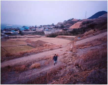 兵庫県南部地震 画像