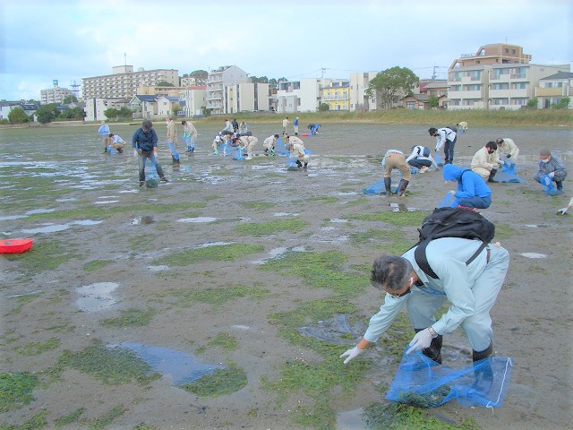 清掃活動の様子