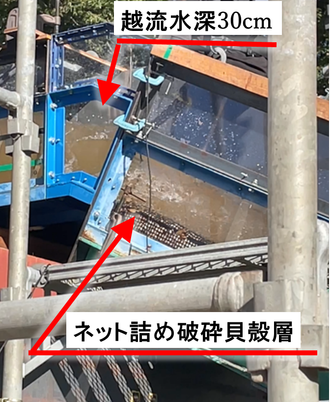(a)上部（法肩部）付近