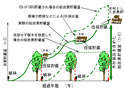 木材による地中カーボンストック イメージ