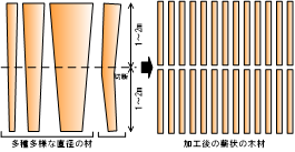 木質コラムに利用可能な丸太　イメージ