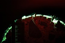 写真-3　蛍光エポキシ樹脂含浸法による画像例(紫外線照射) 表面から内部にいたる微細ひび割れの例
