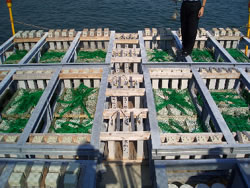 亜鉛・アルミ擬合金溶射による電気防食工法 海上暴露実験の写真