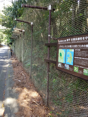 外来種侵入防止柵(父島)